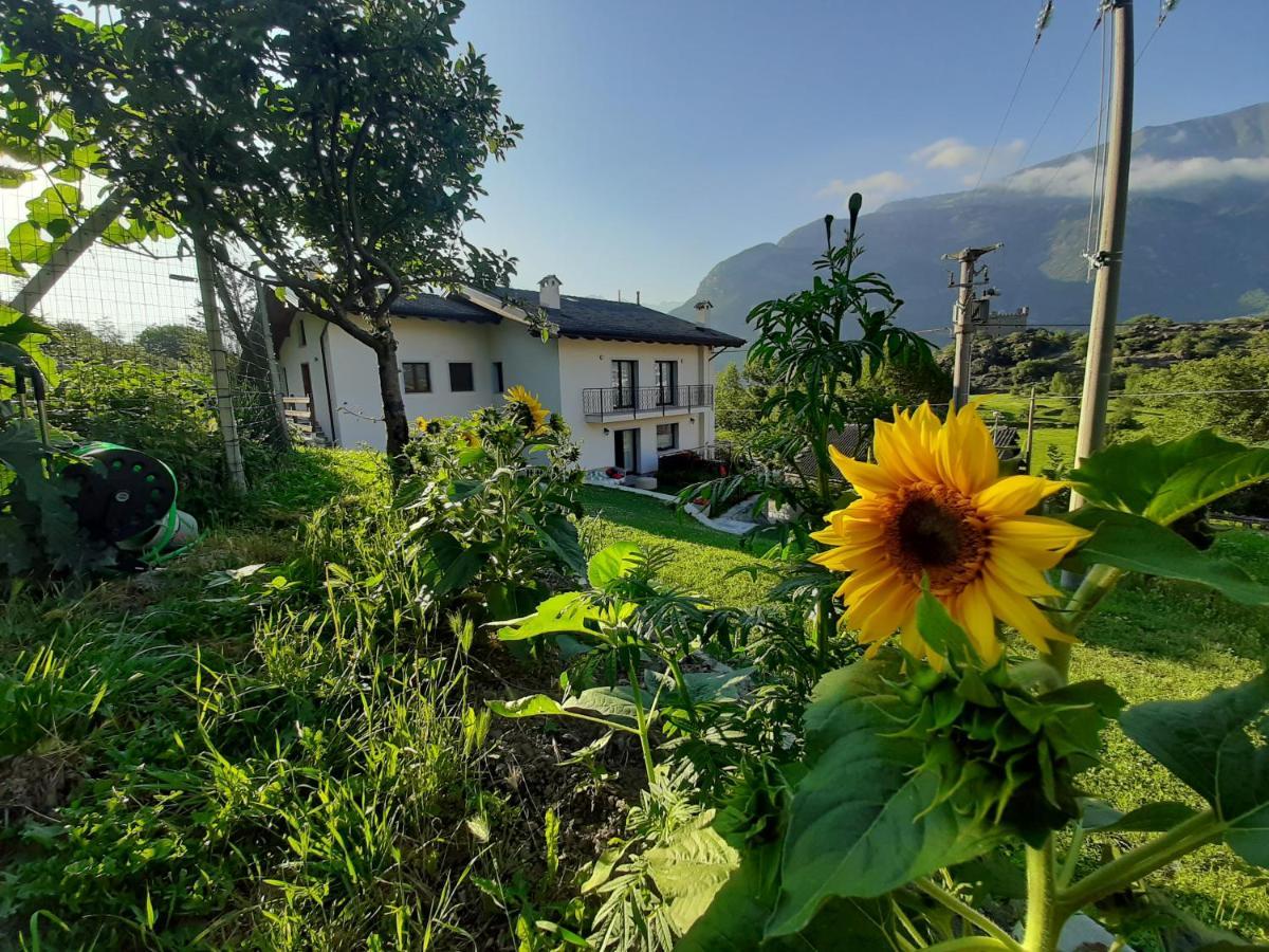 La Maison De Joanna 2 ชาตีญอน ภายนอก รูปภาพ